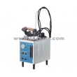 Electric Steam Boiler With Steam Iron